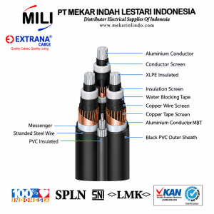 KABEL NFA2XSY-T
